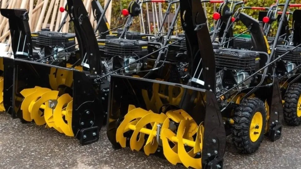 Фото: Министерство благоустройства Московской области