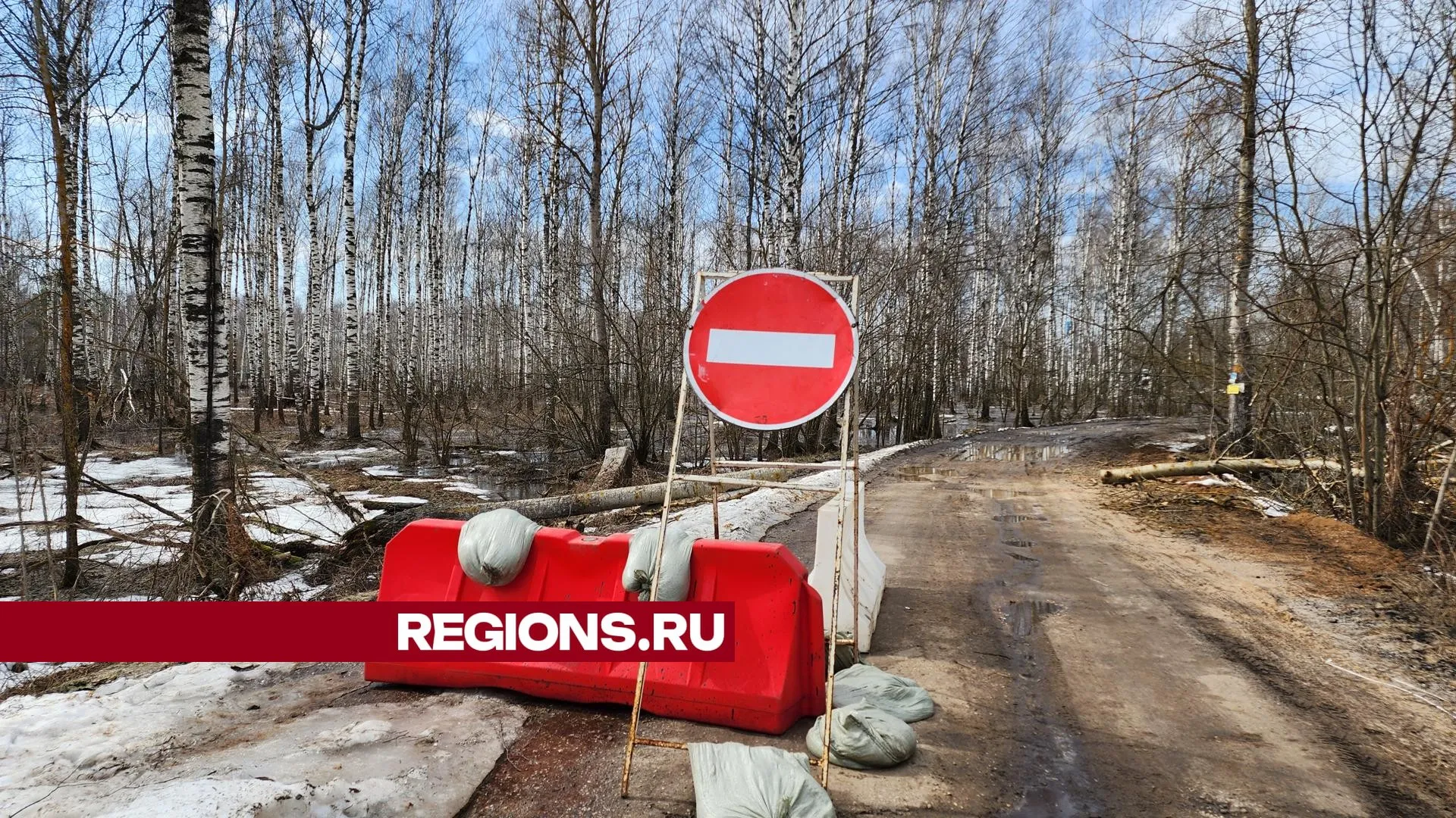 Фото: Юлия Андросова