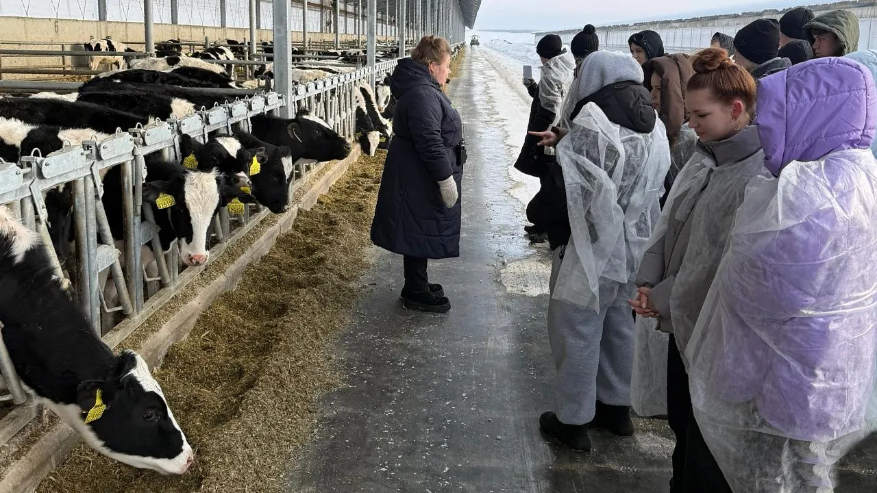 Малинская школа