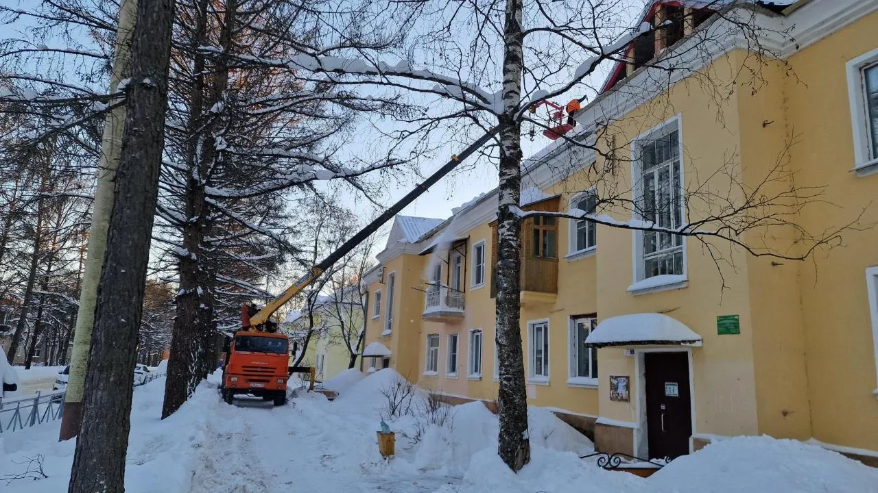 REGIONS/Полина Пахомова