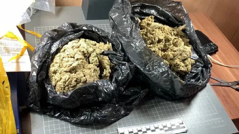 В Солнечногорске взяли мужчину с почти килограммом наркотиков
