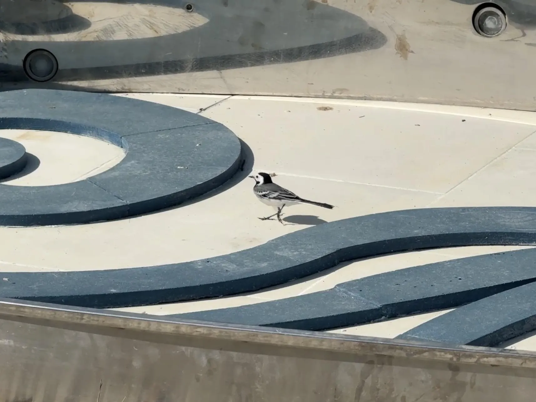 Фото: Ольга Стаферова