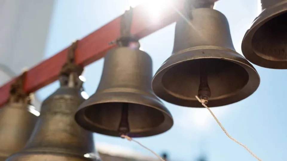 Фото: администрация г.о.Клин