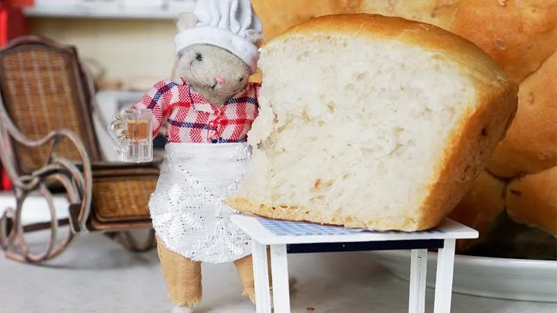 Максим Новиков