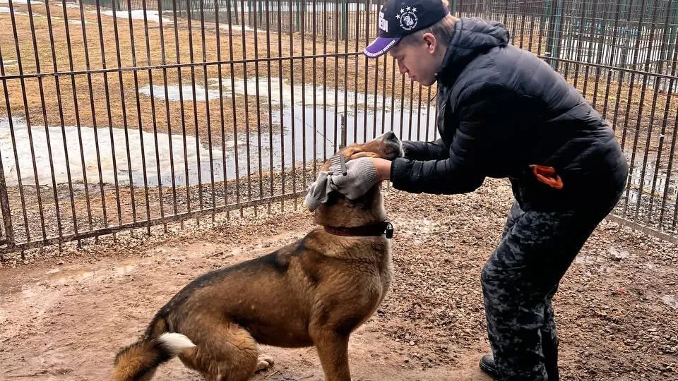 Фото: Дмитрий Кузнецов