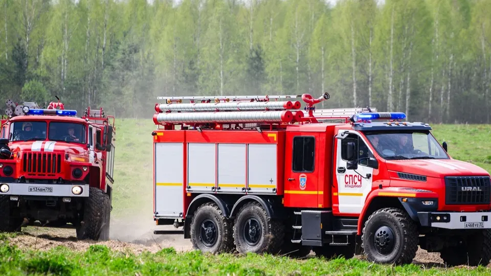 Фото: медиасток.рф