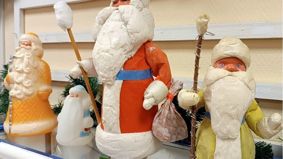 Фото: администрация городского округа Шатура