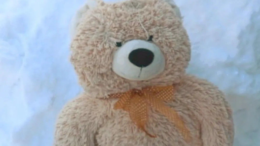 Каширский региональный оператор