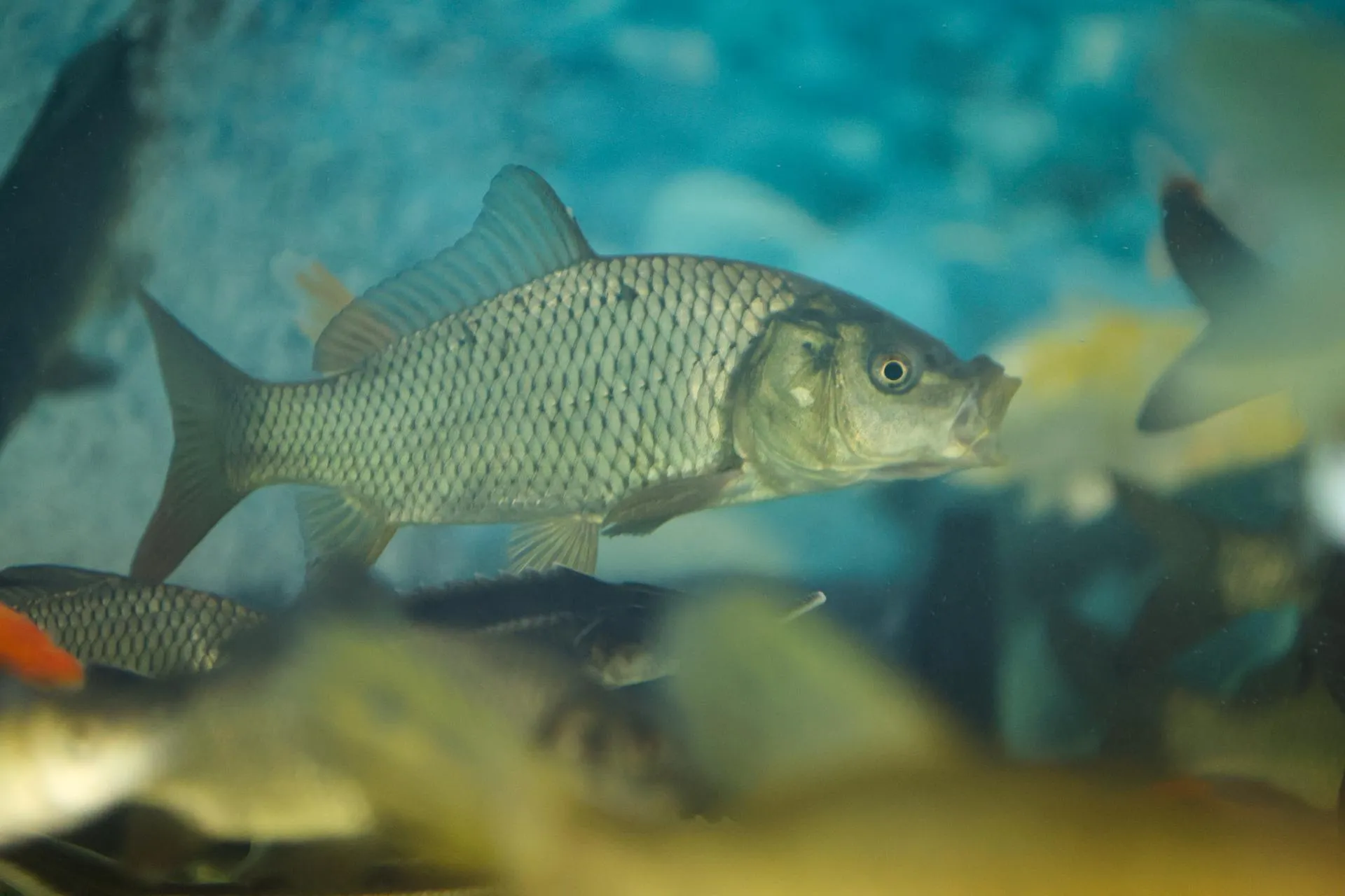 Belkin Alexey/news.ru