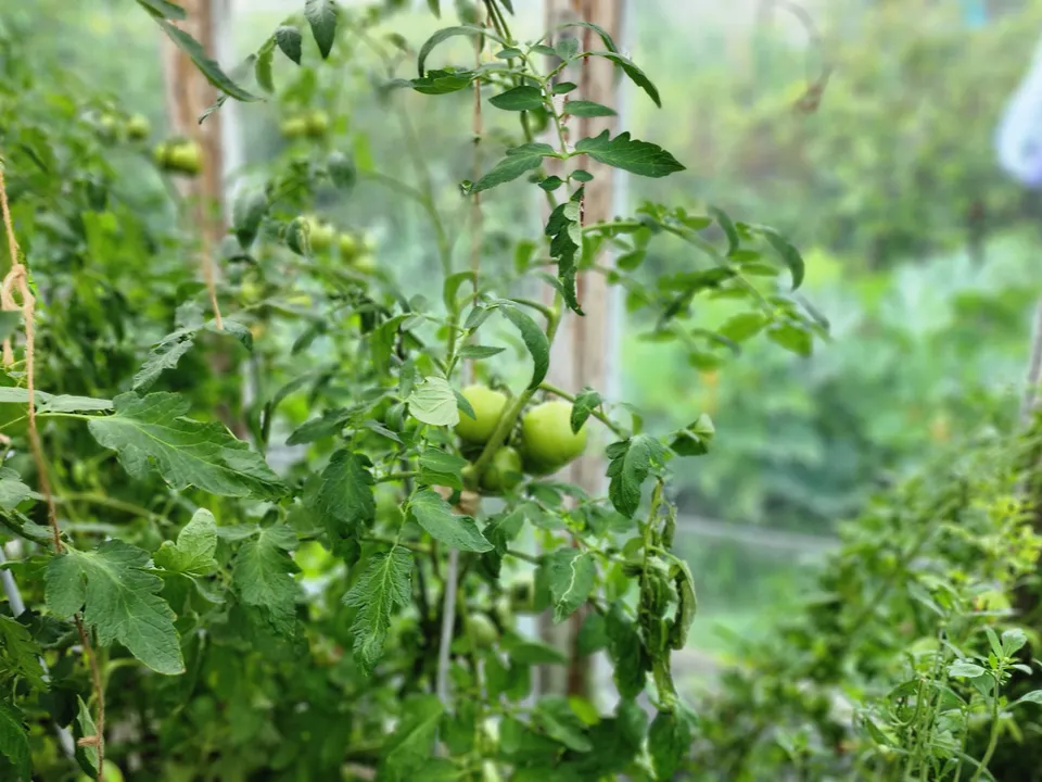 Фото: REGIONS/Наталия Надточая