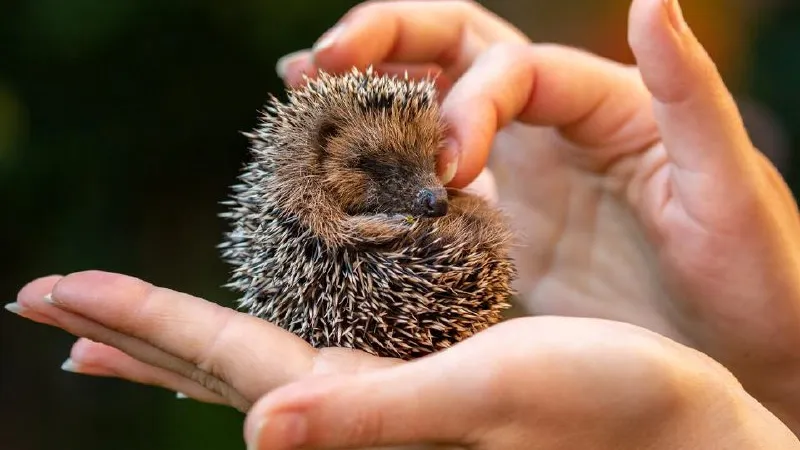 Фото: istockphoto.com