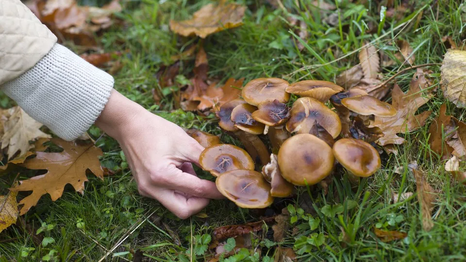 Фото: freepik.com