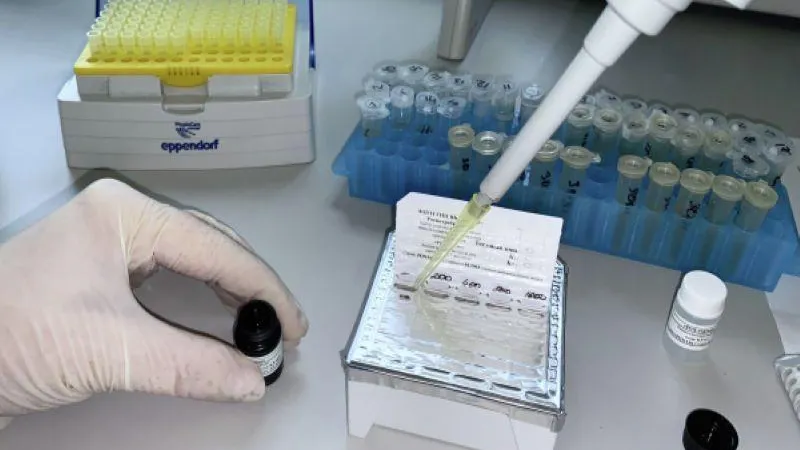 Пресс-служба научного центра вирусологии и биотехнологий «Вектор» / РИА Новости