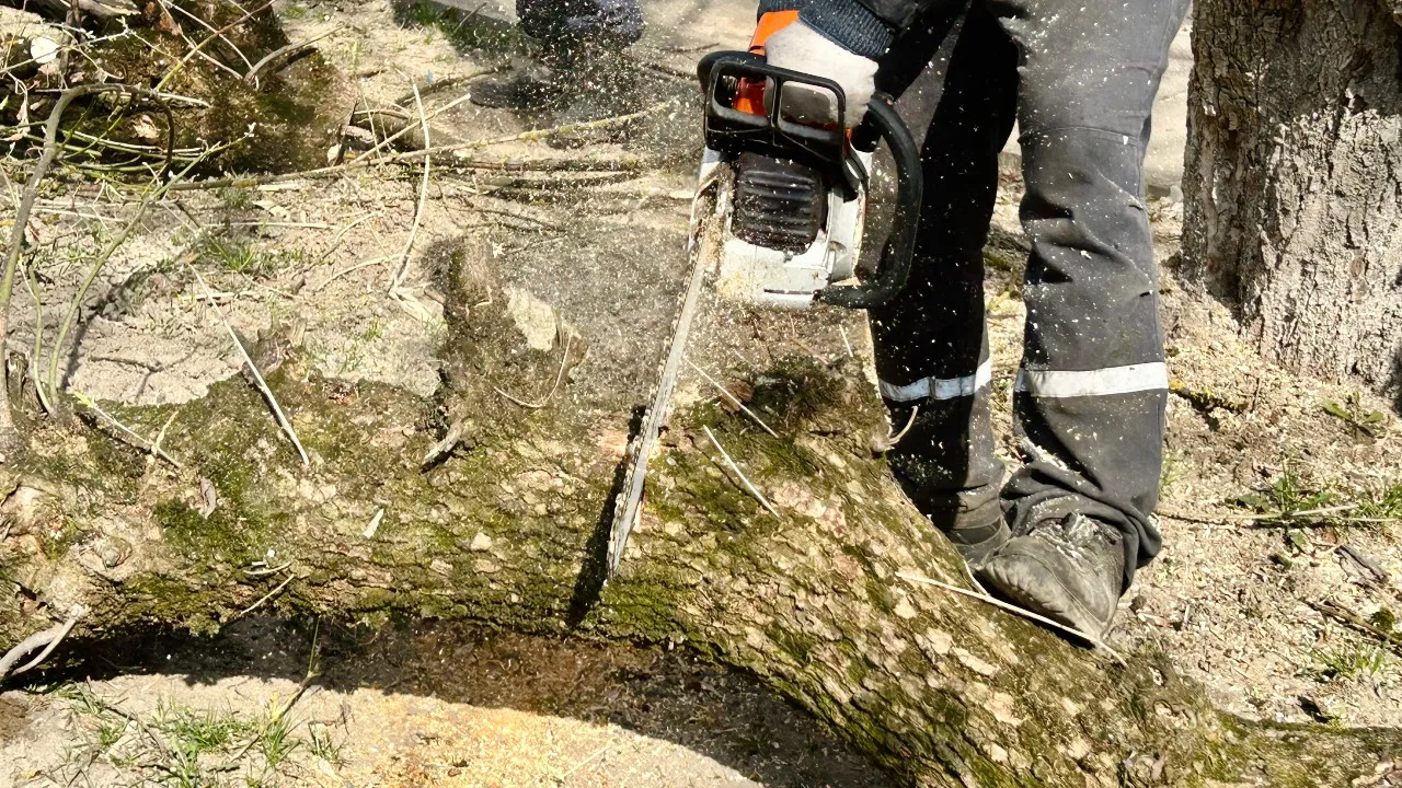 Фото: МедиаБанк Подмосковья/Евгения Корытько