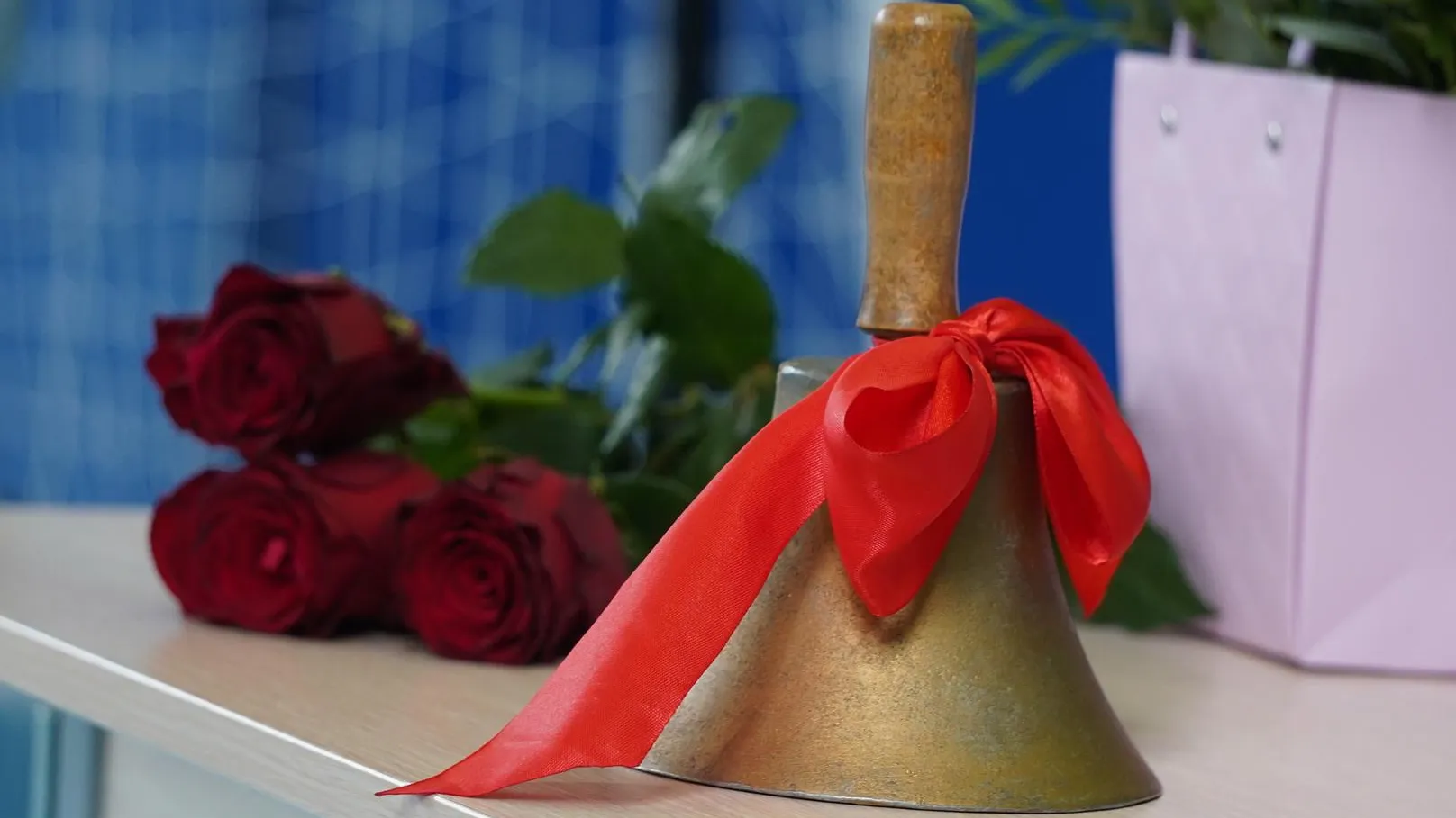 МедиаБанк Подмосковья/Алена Притула