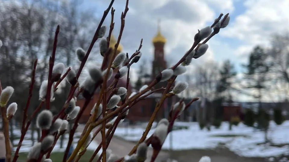 Фото: Мария Кича