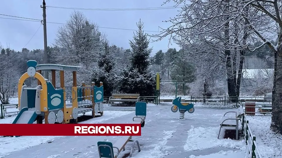 Фото: МедиаБанк Подмосковья/Евгения Герасимова