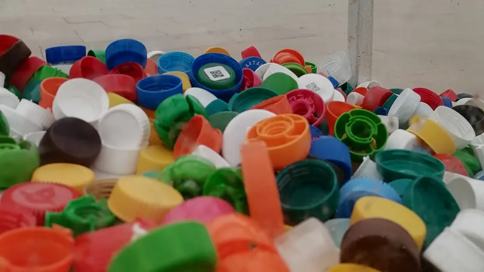 Фото: МедиаБанк Подмосковья/Ольга Сычева