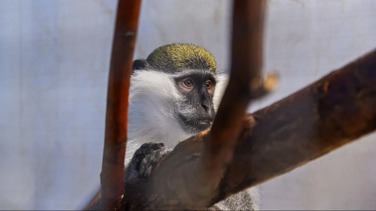 медиасток.рф