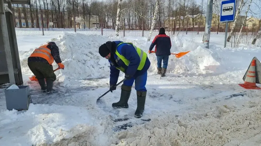 МедиаБанк Подмосковья/Ирина Кузова