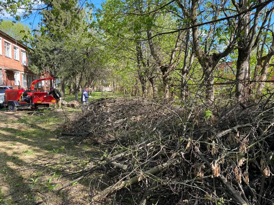 Фото: Дмитрий Алексеенко