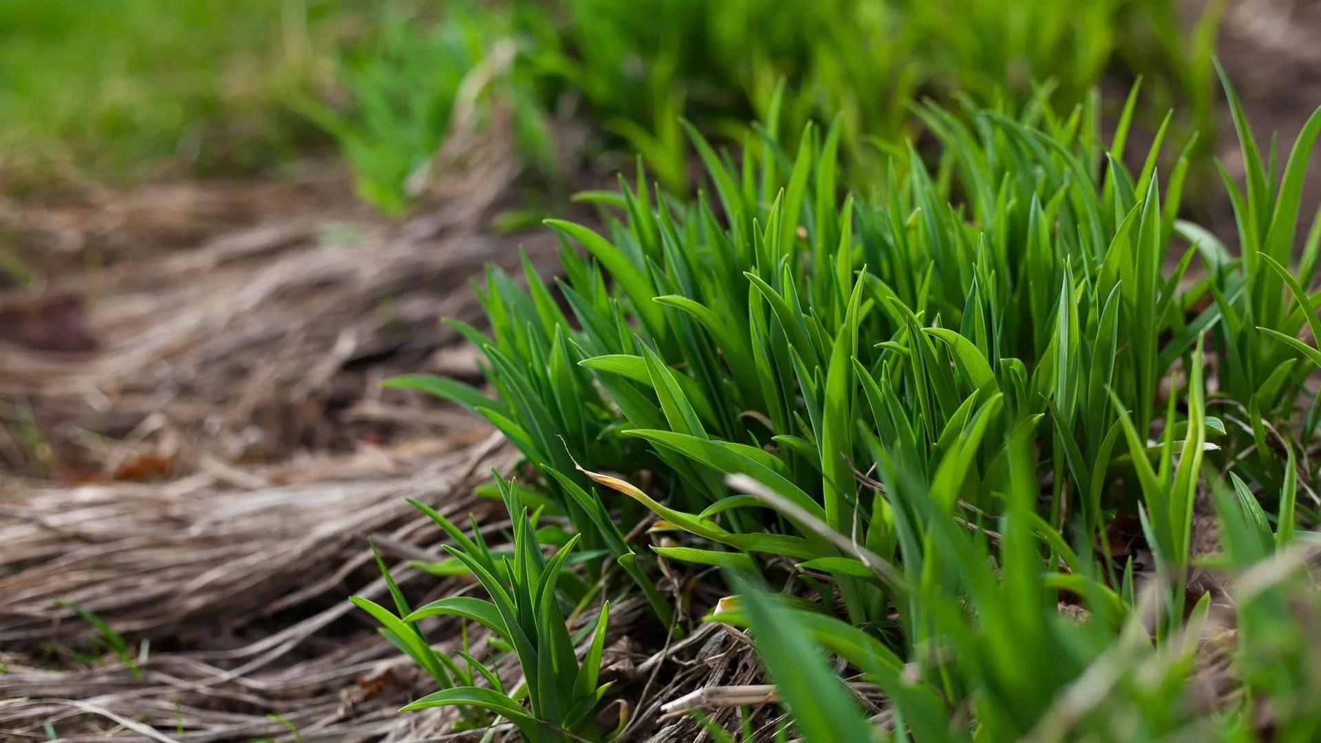 медиасток.рф