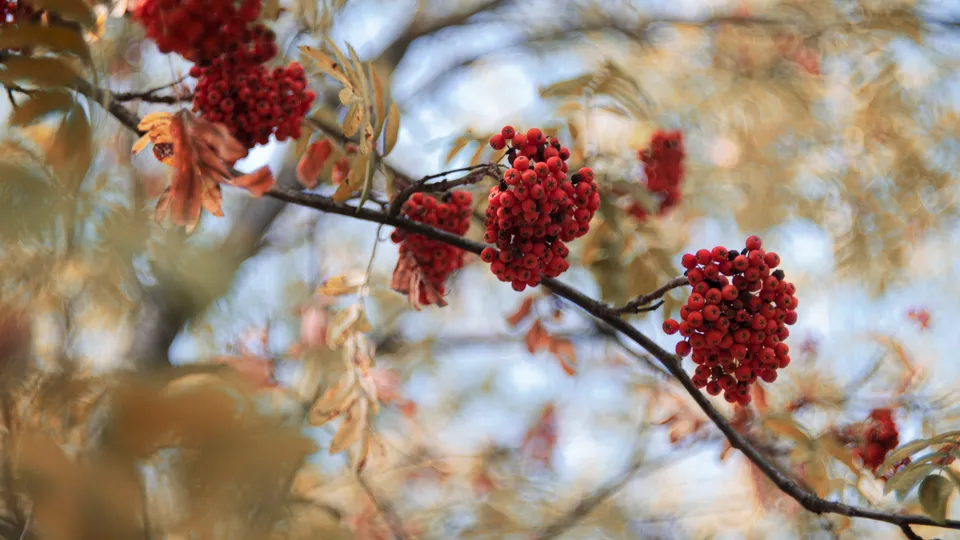 Фото: REGIONS/Наталия Надточая