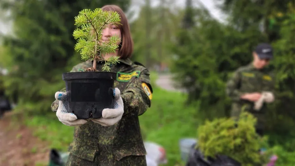 Фото: Комитет лесного хозяйства Московской области