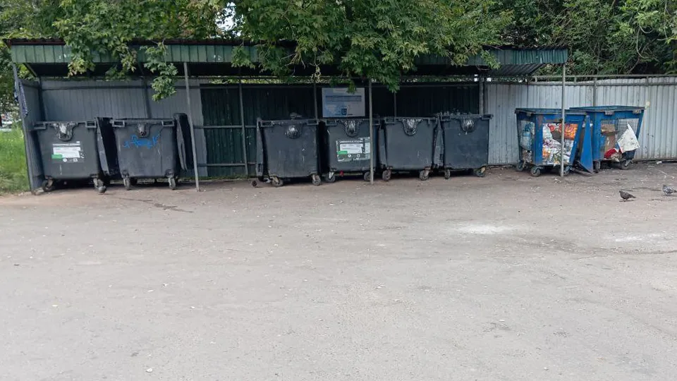 Фото: пресс-служба администрации г.о. Пушкинский