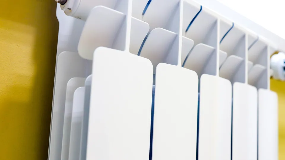 Фото: пресс-служба администрации г.о. Кашира