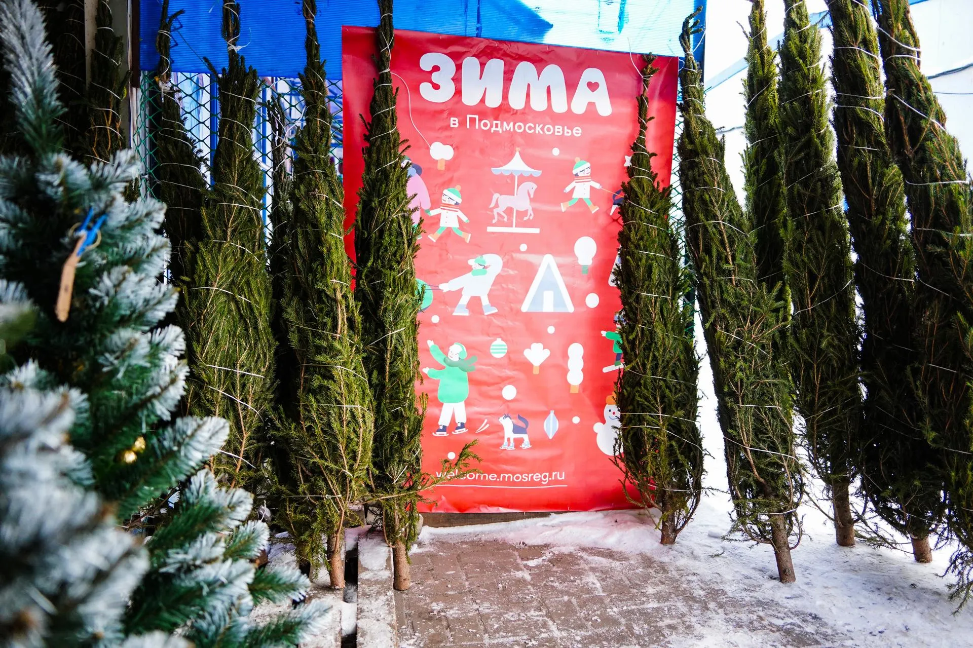 Фото: Даниил Коблов