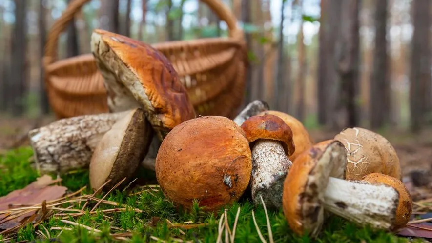 Фото: freepik.com