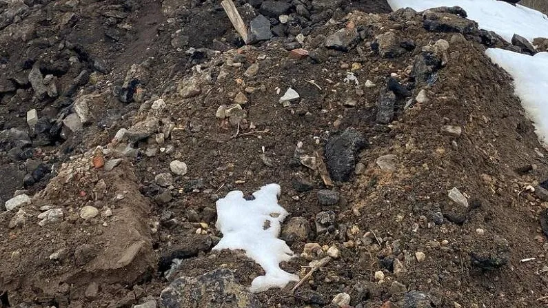 Фото: пресс-службы министерства экологии и природопользования Московской области