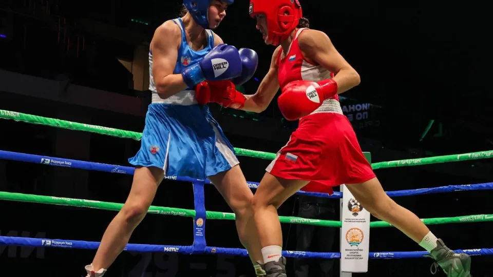 Фото: Федерация бокса России