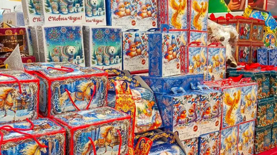 Фото: REGIONS/Эльвира Сафина