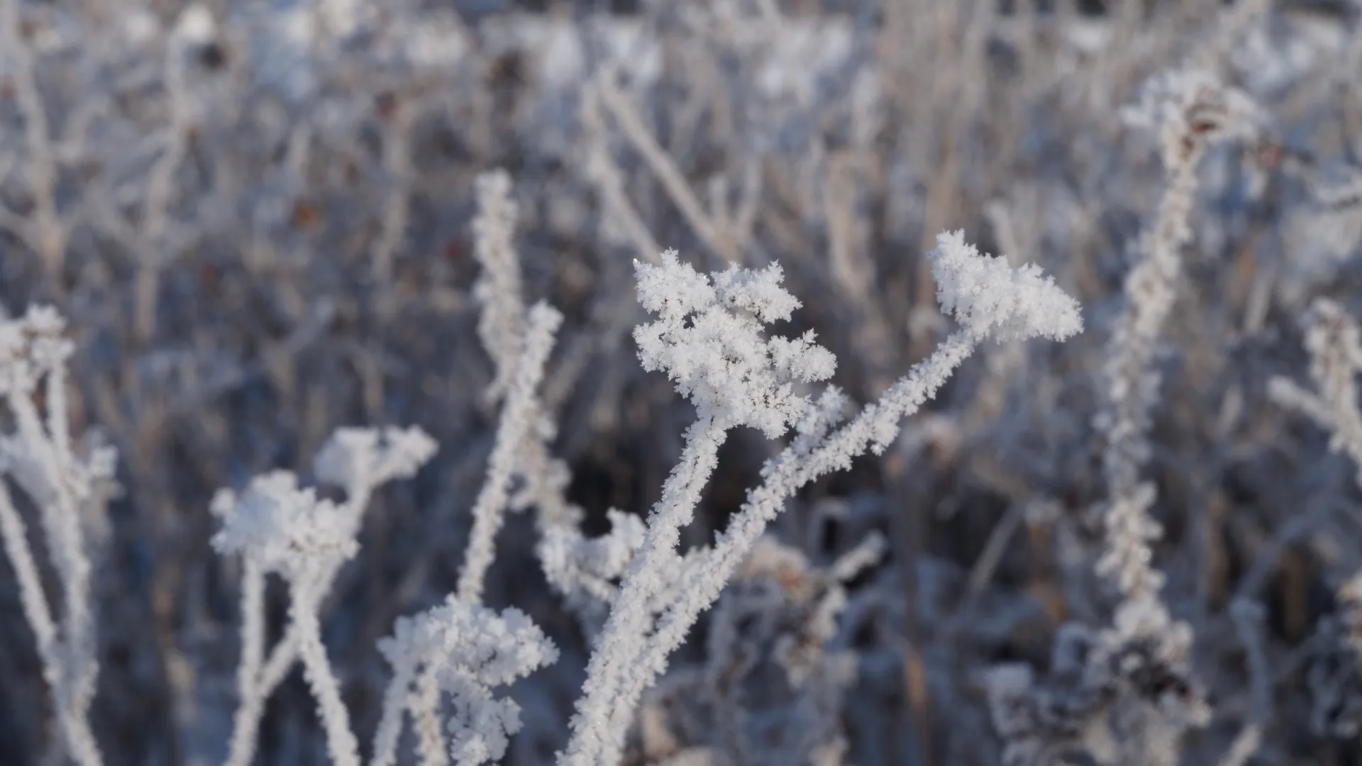 медиасток.рф