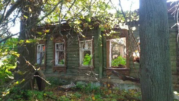 Фото: МИО МО