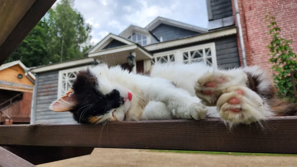 Фото: МедиаБанк Подмосковья/Кристина Тришина