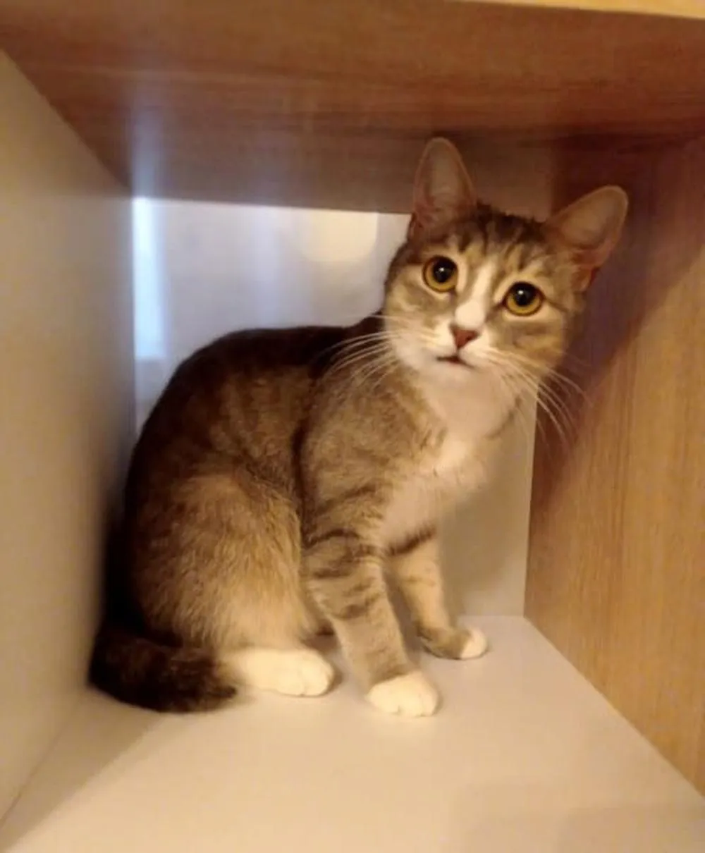 Фото: Истра | Искра! / ВКонтакте