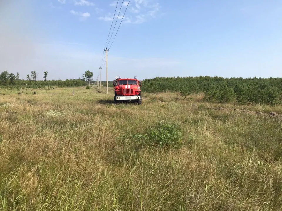 Фото: Комитет лесного хозяйства Московской области