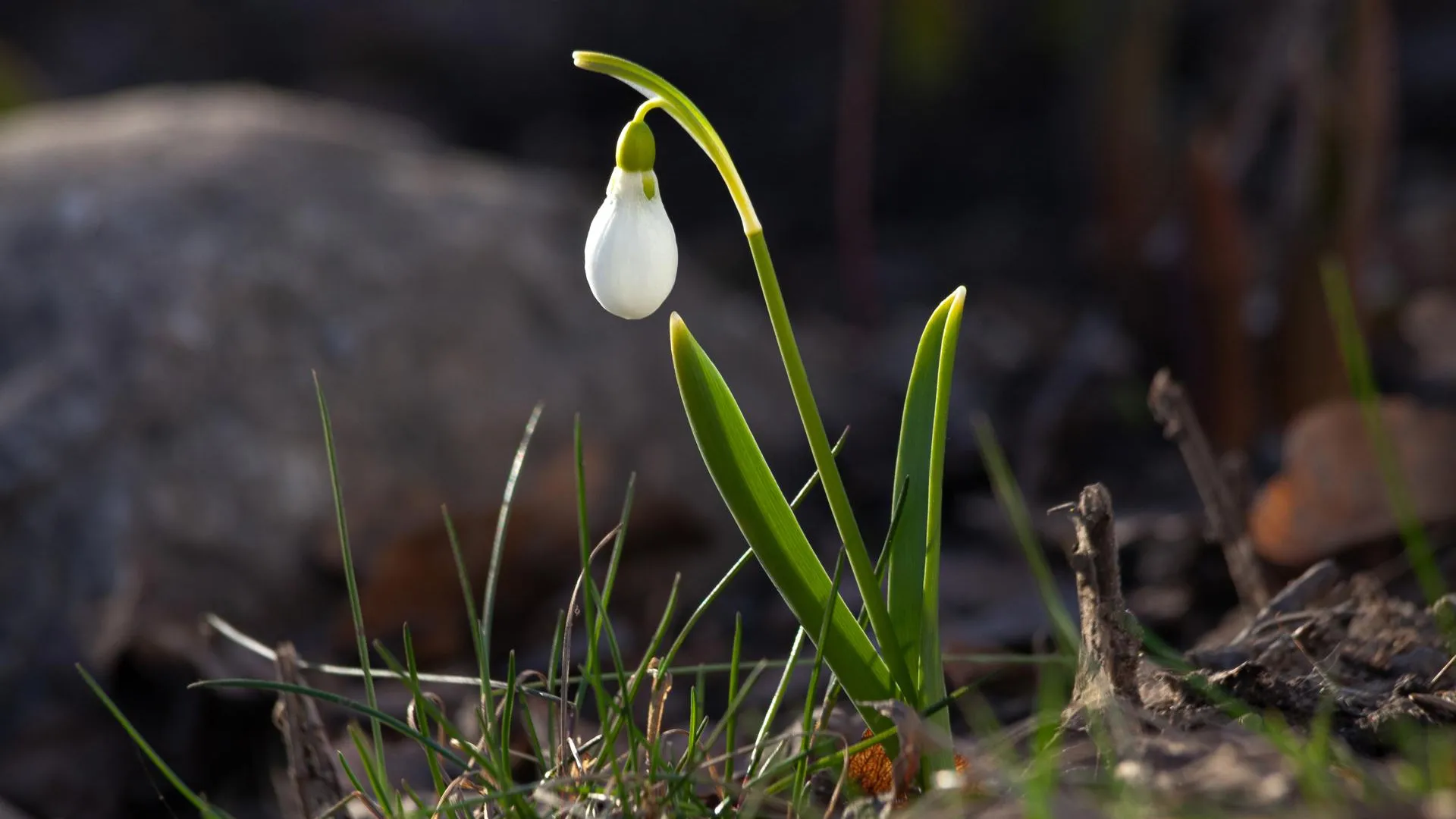 медиасток.рф