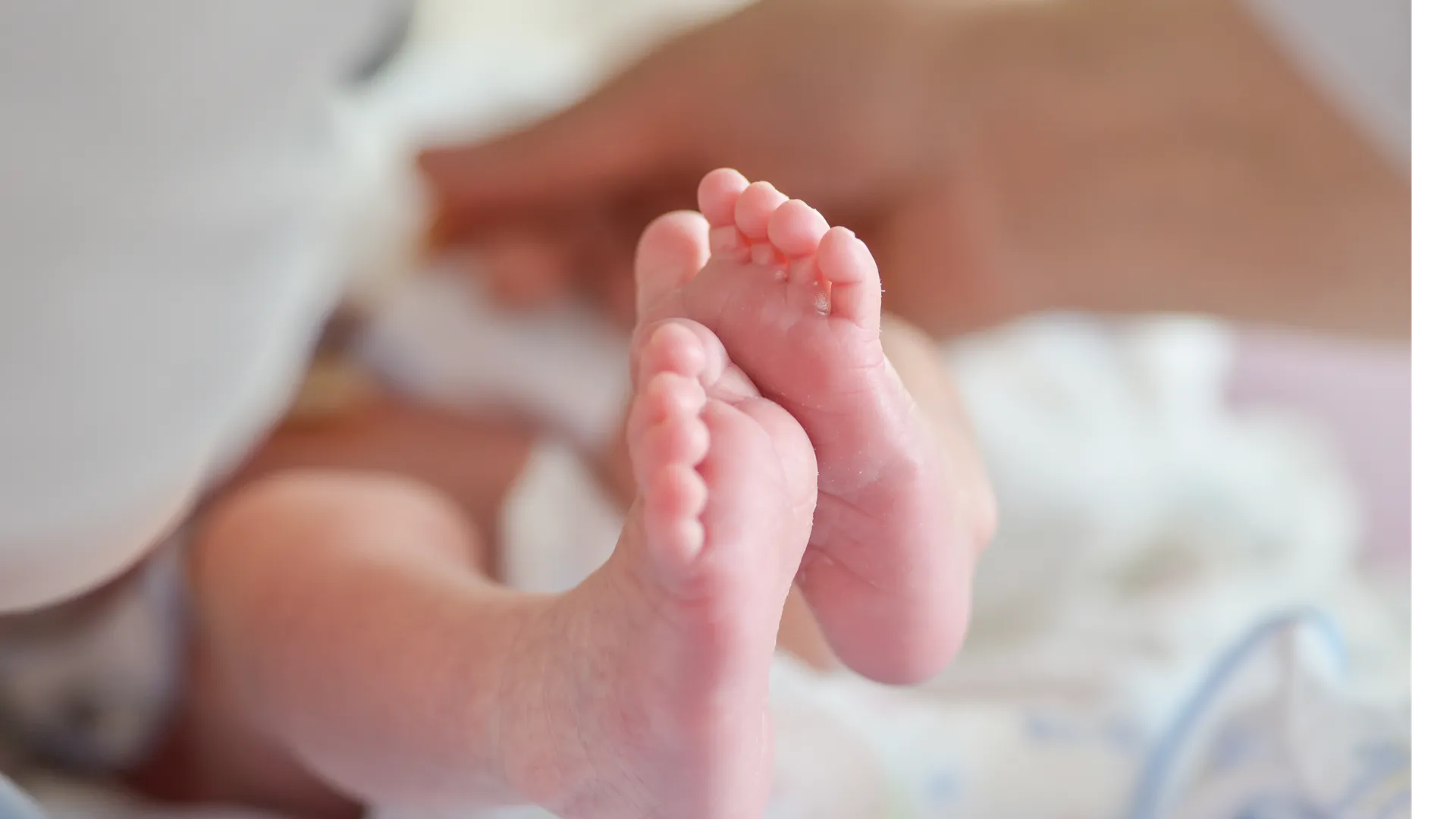 Источник: ru.freepik.com