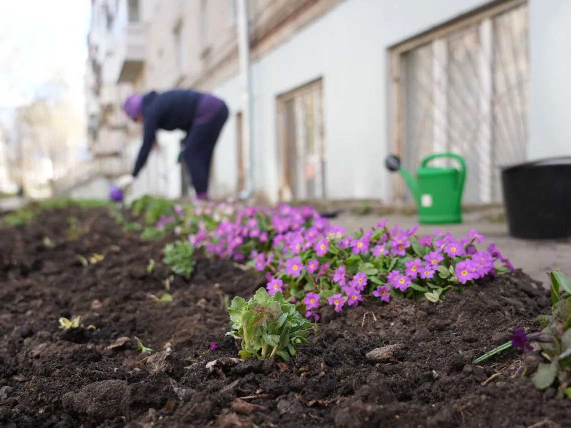 Фото: МедиаБанк Подмосковья/Дарья Леонова