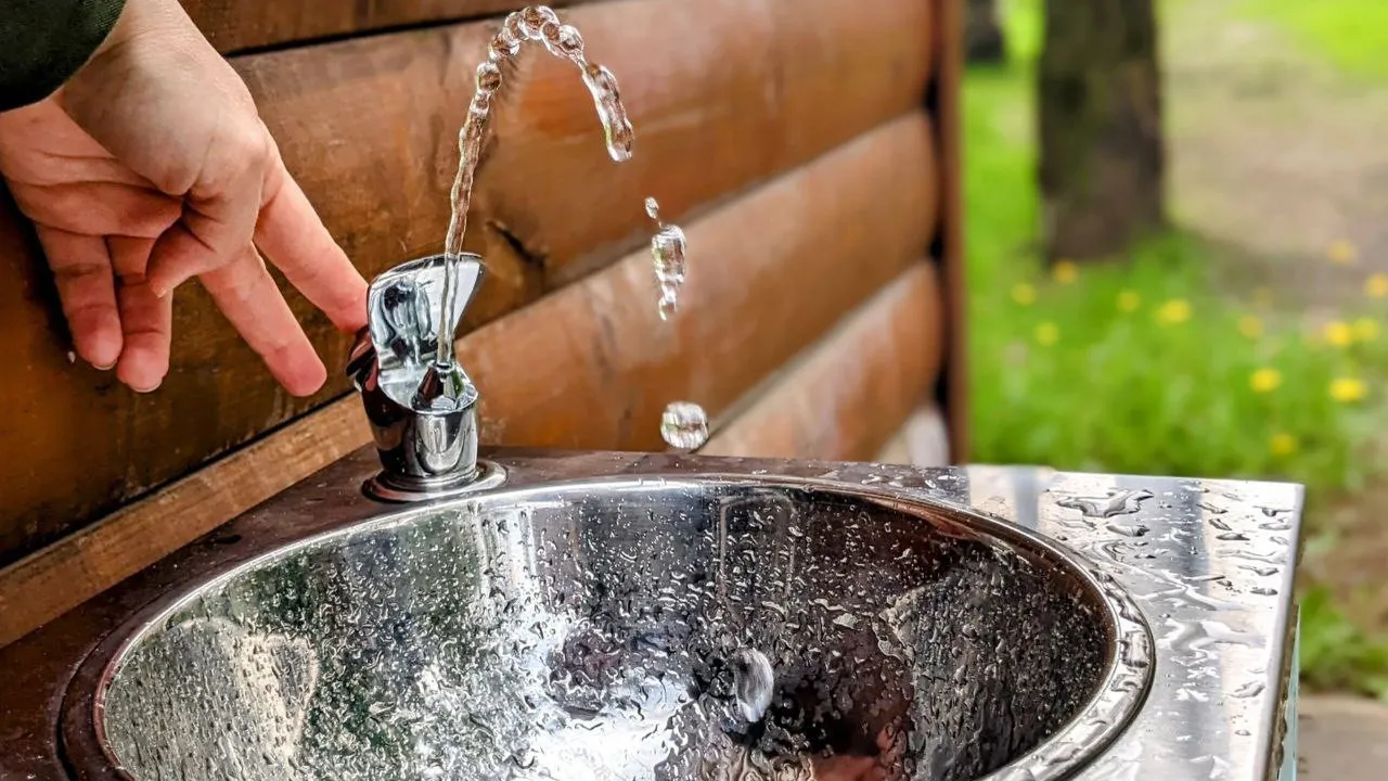 Фото: Министерство культуры и туризма Московской области