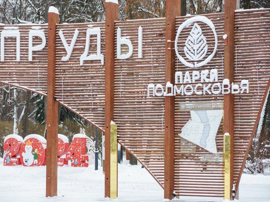 Фото: медиасток.рф