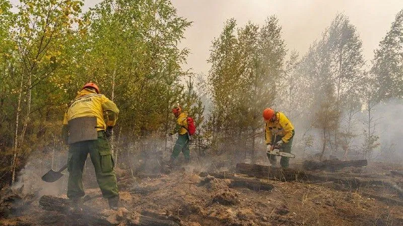 Комлесхоз: угрозы перехода огня из Рязанской области в Подмосковье нет