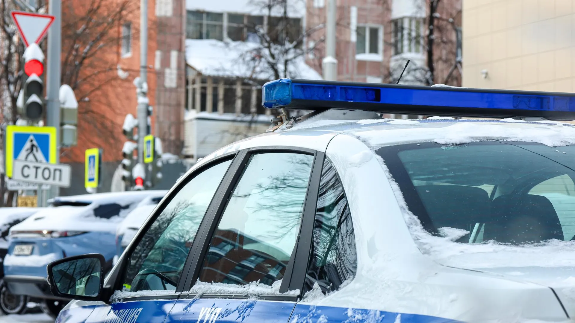 Elena Mayorova/Global Look Press