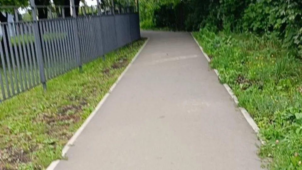 Фото: пресс-служба администрации Рузского муниципального округа