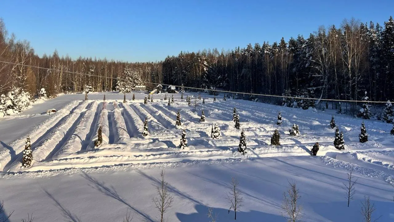 пресс-служба нацпарка "Лосиный остров"/Анна Ткачева