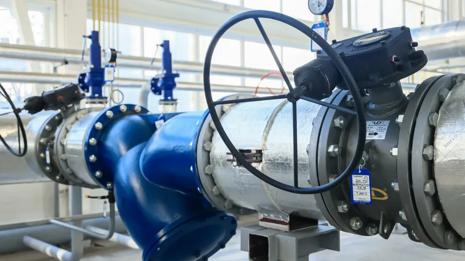 Фото: пресс-служба губернатора и правительства Московской области